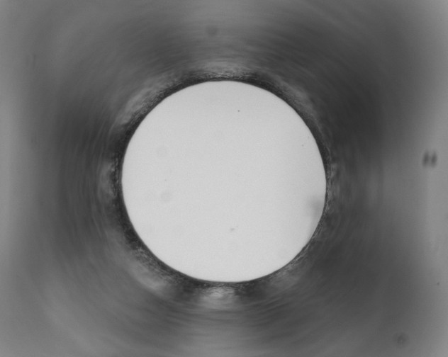 X0000112100162200908041121