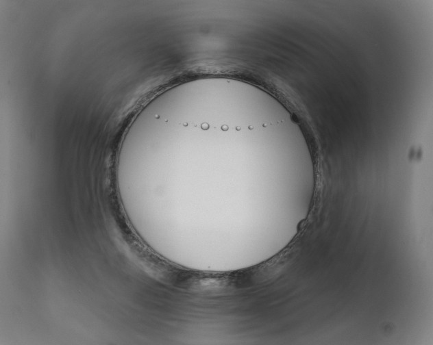 X0000112100163200908041121