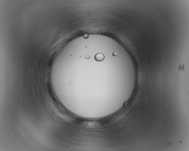X0000112100165200908041121