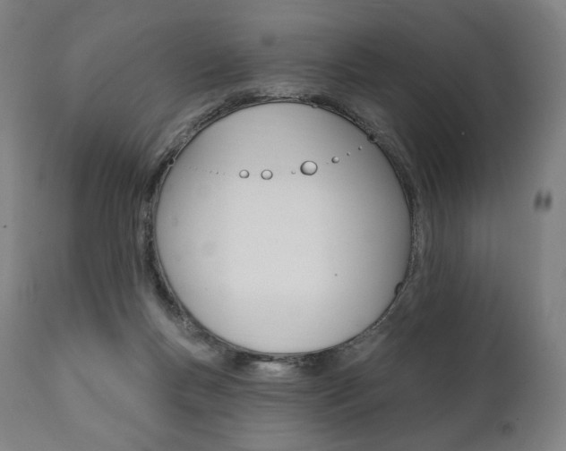X0000112100167200908041121