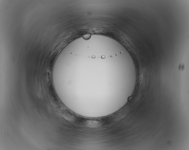 X0000112100169200908041121