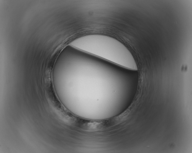 X0000112100172200908041121
