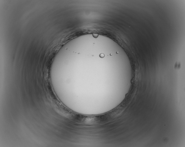 X0000112100173200908041121