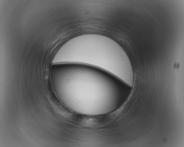 X0000112100174200908041121