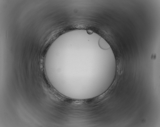 X0000112100175200908041121