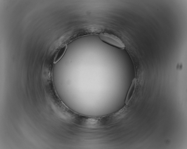 X0000112100176200908041121