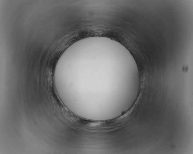 X0000112100178200908041121