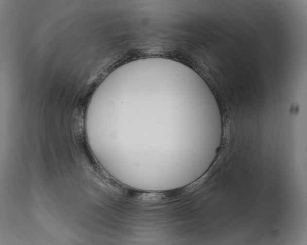 X0000112100179200908041121