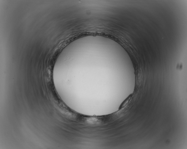 X0000112100183200908041121