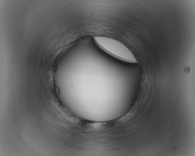 X0000112100184200908041121