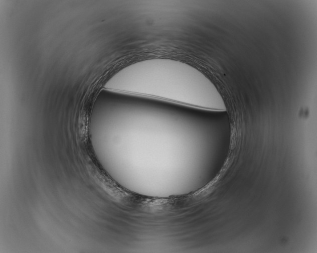 X0000112100186200908041121