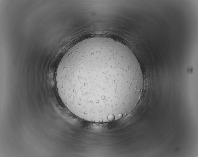 X0000112100187200908041121