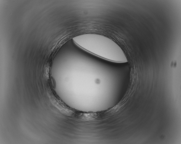 X0000112100188200908041121