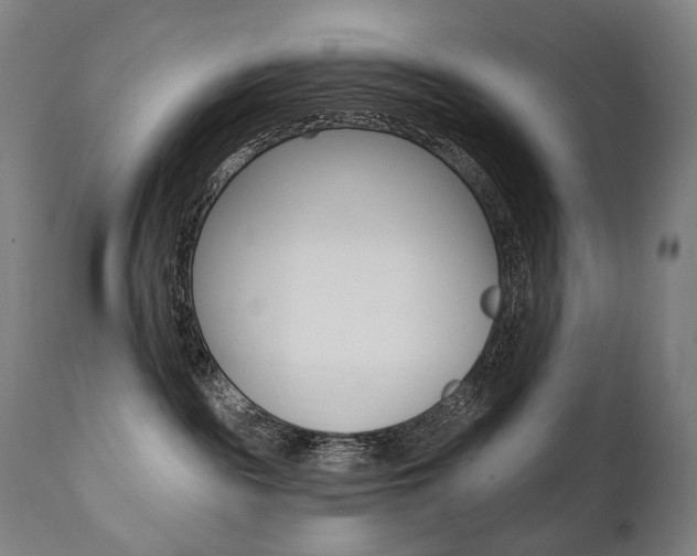 X0000112100189200908041121