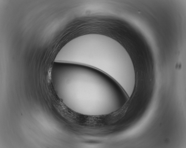 X0000112100190200908041121