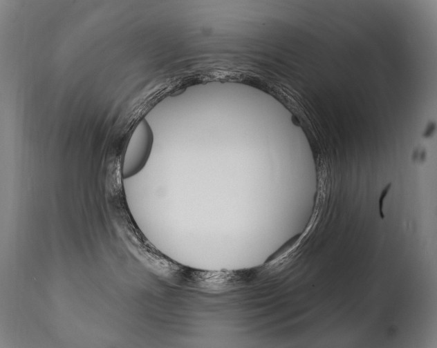 X0000112100191200908041121
