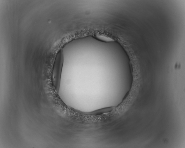 X0000112100192200908041121
