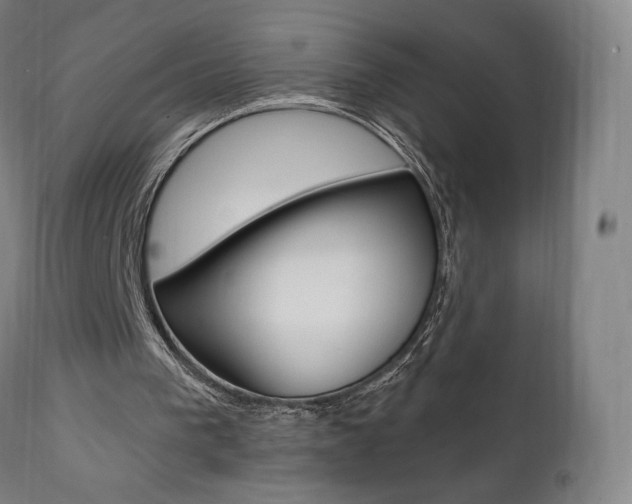 X0000112100193200908041121