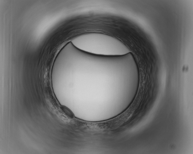 X0000112100194200908041121