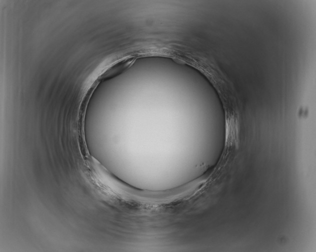 X0000112100195200908041121