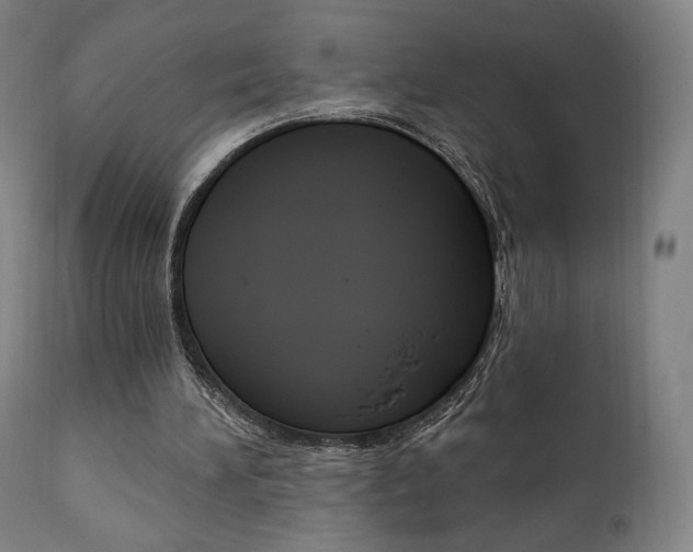 X0000112100196200908041121