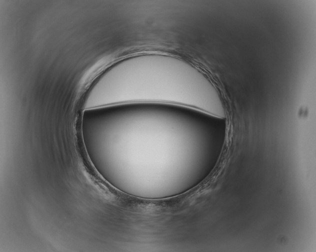 X0000112100197200908041121