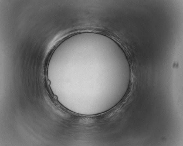X0000112100198200908041121