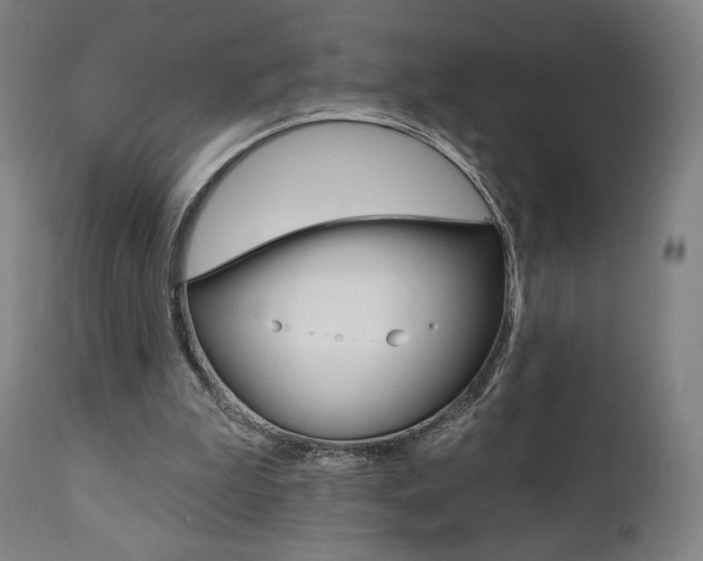 X0000112100199200908041121