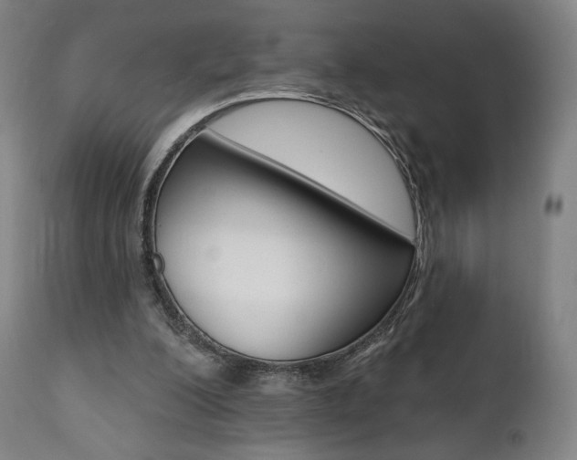 X0000112100200200908041120