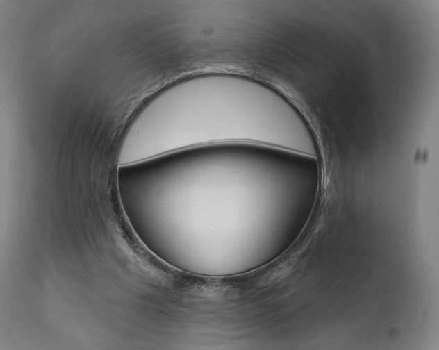 X0000112100201200908041120