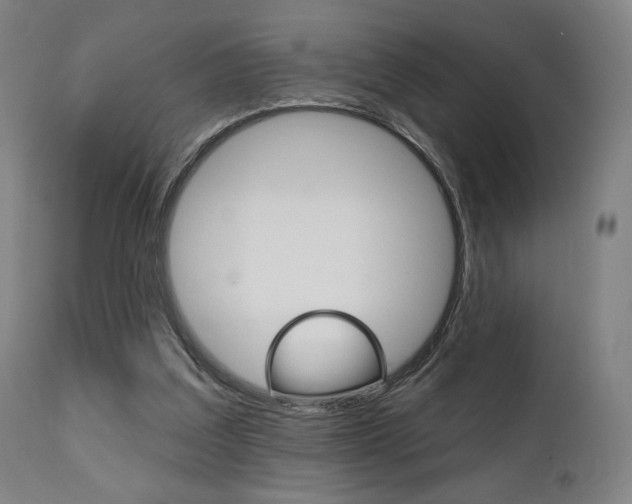 X0000112100203200908041120