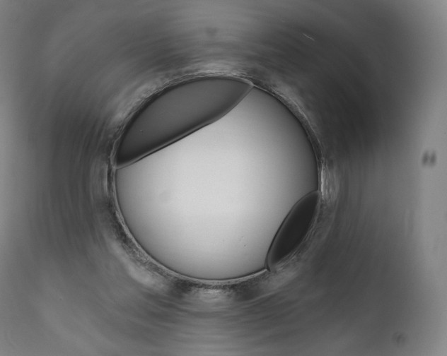 X0000112100205200908041120