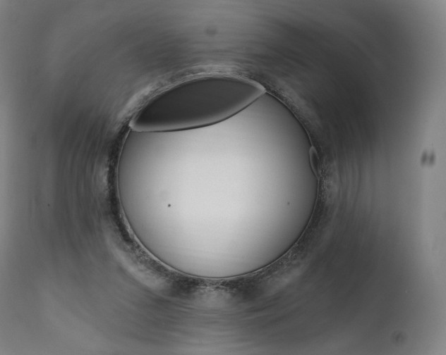 X0000112100207200908041120