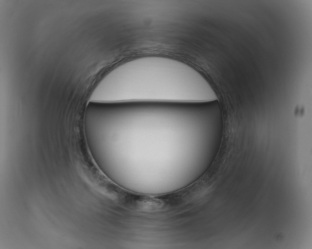 X0000112100215200908041120