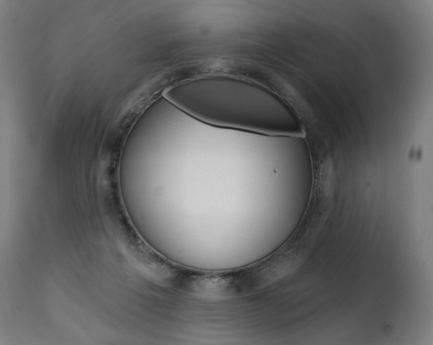 X0000112100217200908041120