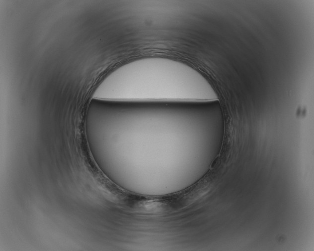 X0000112100219200908041120