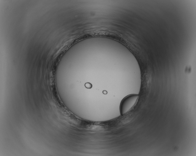 X0000112100224200908041120