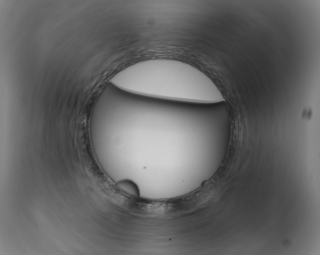 X0000112100225200908041120