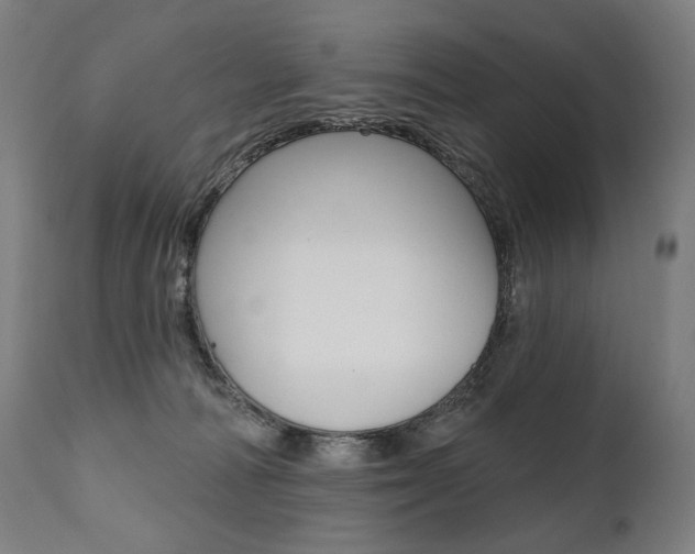 X0000112100226200908041120