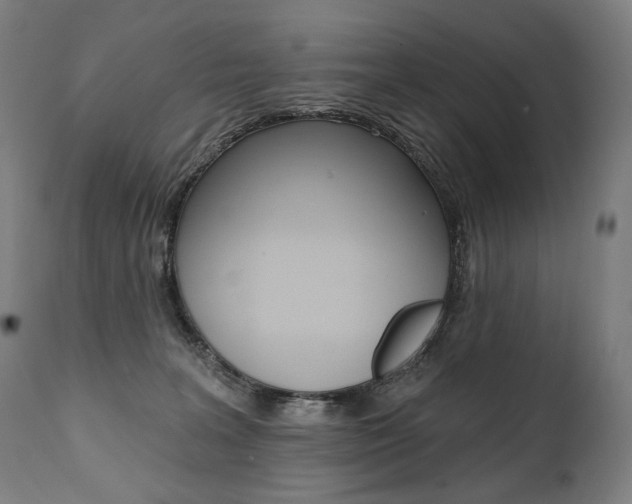 X0000112100227200908041120