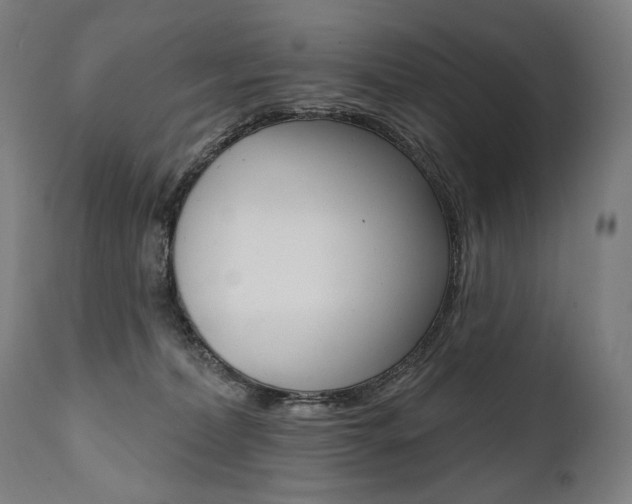 X0000112100228200908041120
