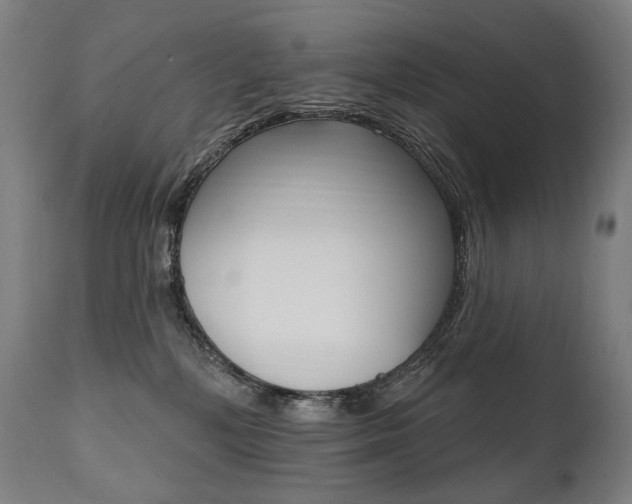 X0000112100232200908041120