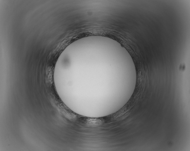 X0000112100234200908041120