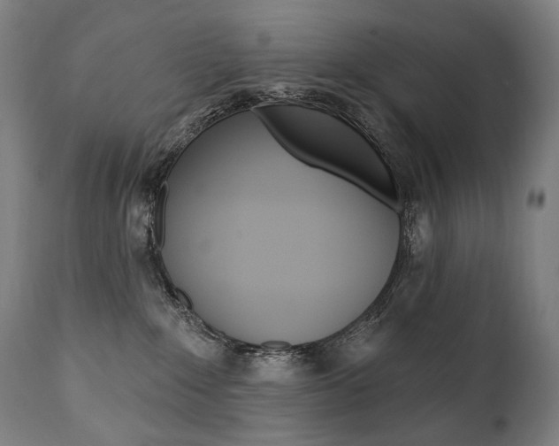 X0000112100235200908041120
