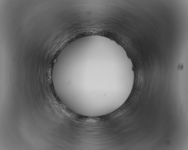 X0000112100236200908041120