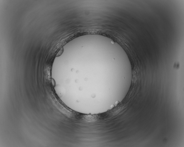 X0000112100238200908041120