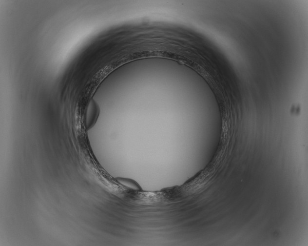 X0000112100239200908041120