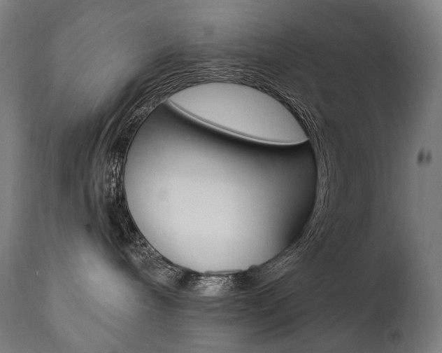 X0000112100240200908041120