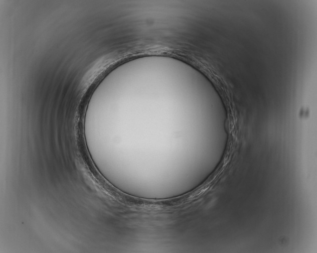 X0000112100242200908041119