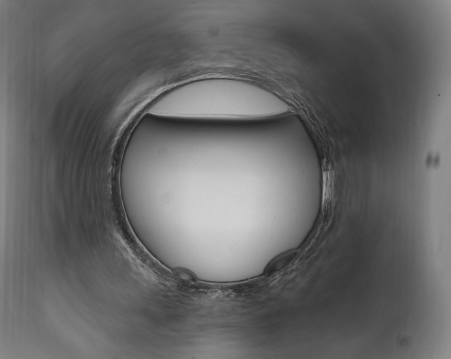 X0000112100243200908041119